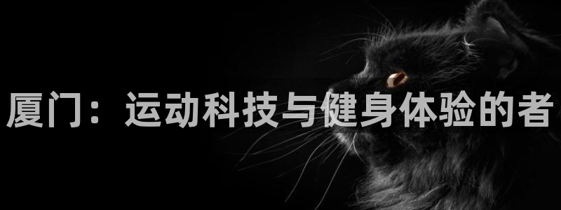 熊猫体育官网下载平台:厦门:运动科技与健身体验的者