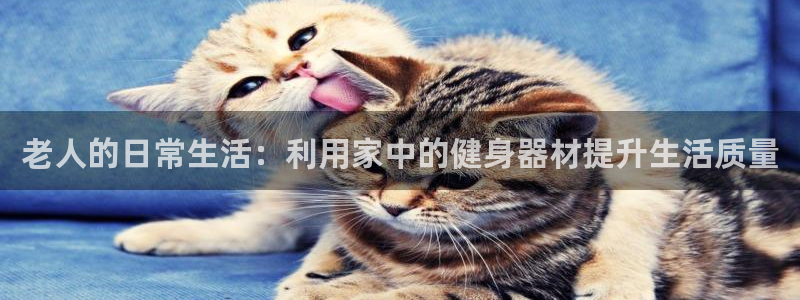 熊猫体育官网下载平台注册要钱吗:老人的日常生活:利用家中的健