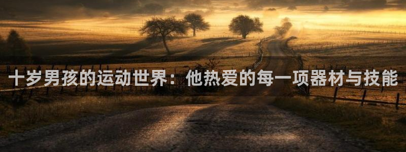 熊猫体育娱乐首页网站大全:十岁男孩的运动世界:他热爱的每一项