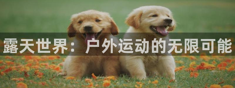 熊猫体育官网下载平台注册流程图:露天世界:户外运动的无限可能